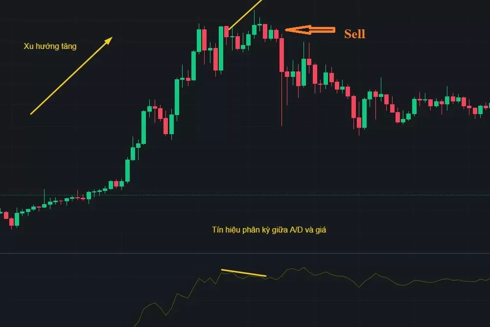 Chỉ báo Accumulation Distribution: Làm chủ dòng tiền lớn trong Forex