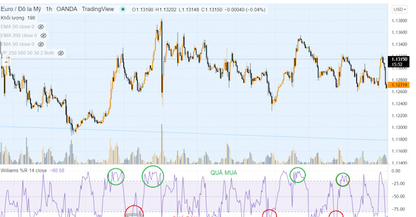 Chỉ báo Williams Percent Range – chiến lược giao dịch hiệu quả