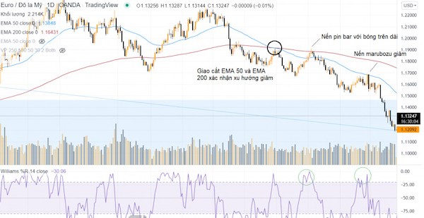Chỉ báo Williams Percent Range – chiến lược giao dịch hiệu quả