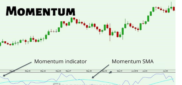 Oscillator là gì? Các loại chỉ báo dao động phổ biến hiện nay