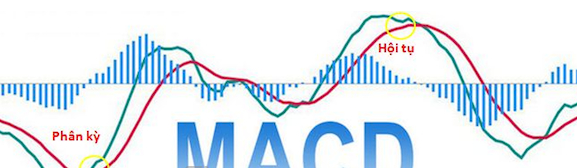 Oscillator là gì? Các loại chỉ báo dao động phổ biến hiện nay