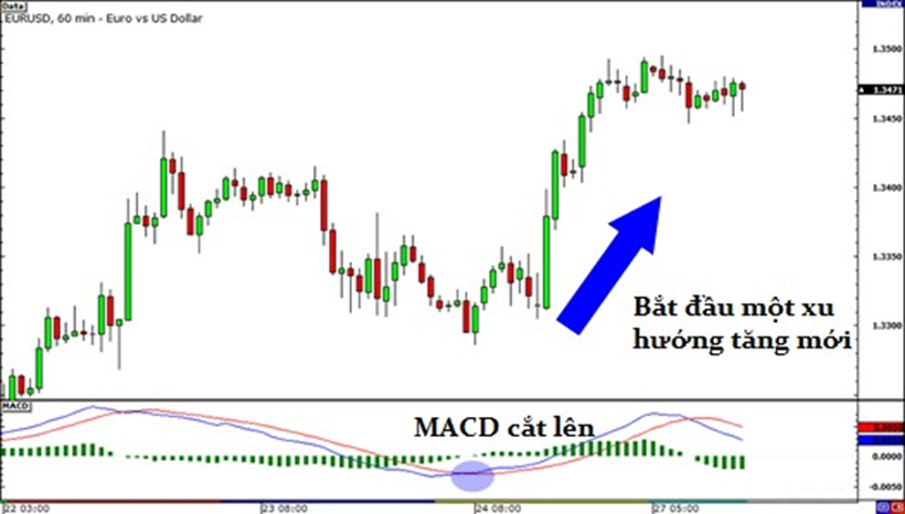 Học trade nghiêm túc. Bài 5: Những chỉ báo kỹ thuật đơn giản (Phần 1)