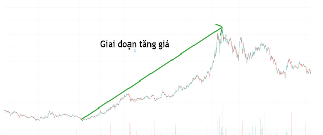 Phương pháp Wyckoff là gì? Các mô hình Wyckoff hiện nay