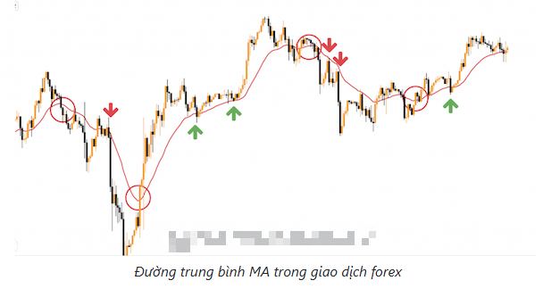 Leading indicator là gì? Cách sử dụng Lagging và Leading