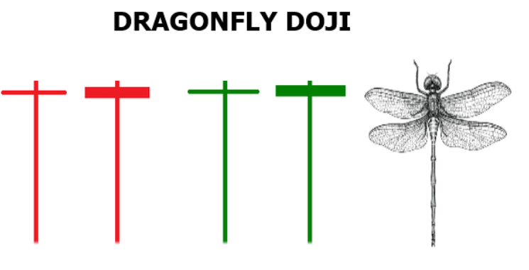 Mô hình nến Doji là gì? Cách giao dịch khi kết hợp với các chỉ báo