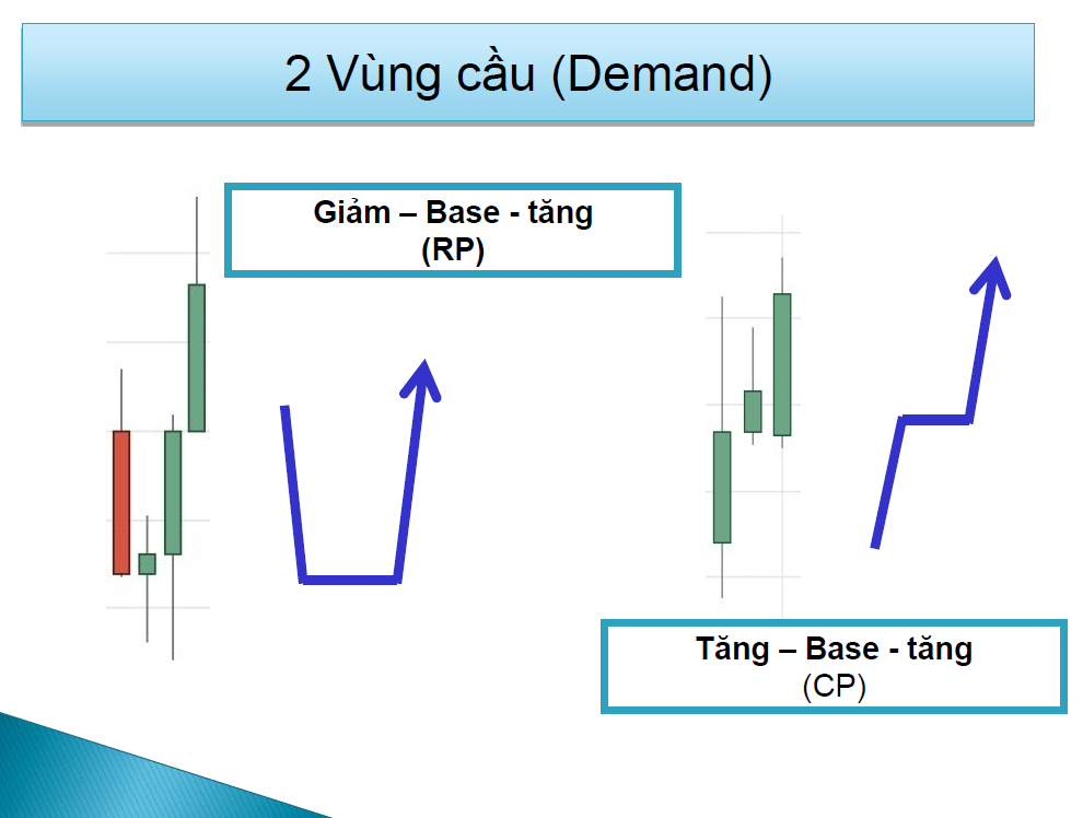 Supply - Demand là gì ? Xác định vùng Supply Demand như thế nào ?