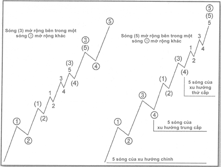 Bài 2: các dạng sóng chính