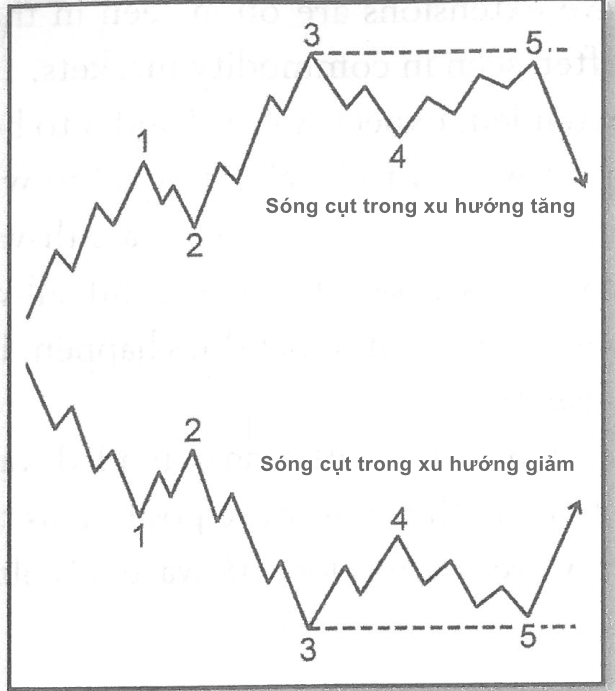 Bài 2: các dạng sóng chính