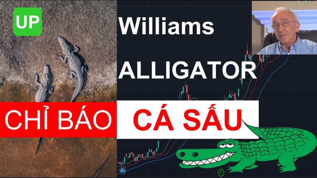 Chỉ báo Alligator: Giao dịch sắc bén theo sự thay đổi của xu hướng