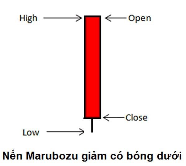 Nến Marubozu là gì? Cách phân biệt và cách thức giao dịch với nến Marubozu