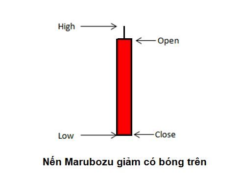 Nến Marubozu là gì? Cách phân biệt và cách thức giao dịch với nến Marubozu