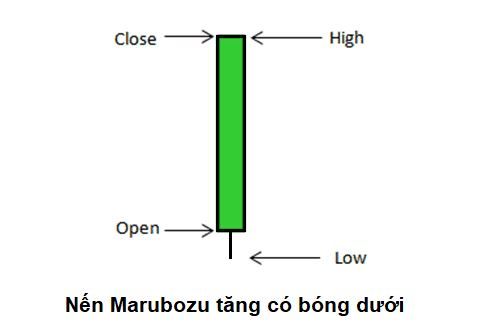 Nến Marubozu là gì? Cách phân biệt và cách thức giao dịch với nến Marubozu