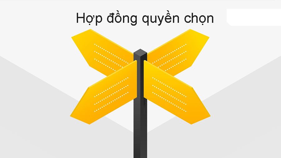 Option là gì? Cách giao dịch Hợp đồng quyền chọn hiệu quả