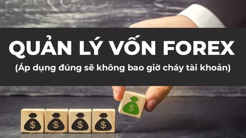 Quản lý vốn Forex là gì?