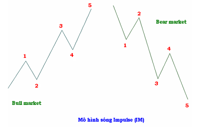 Bài 2: các dạng sóng chính