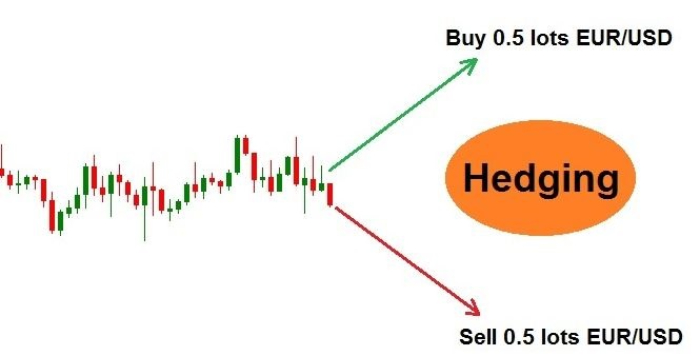 Hedging Là Gì Và Cách Thức Áp Dụng Vào Forex