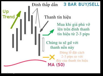 Giới thiệu hệ thống giao dịch Price Action kết hợp với Đường trung bình động MA 50 dễ áp dụng!