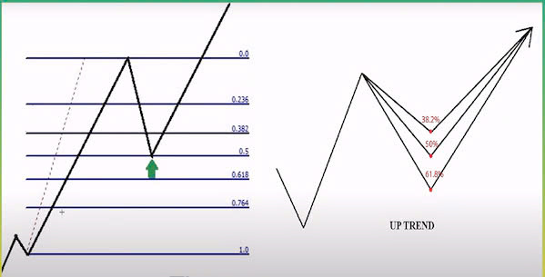 Fibonacci Retracement là gì? Cách dùng Fibonacci thoái lui