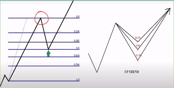 Fibonacci Retracement là gì? Cách dùng Fibonacci thoái lui